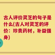 古人评价灵芝的句子是什么(古人对灵芝的评价：珍贵药材，补益强身)