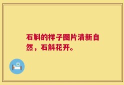 石斛的样子图片清新自然，石斛花开。
