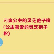 刁蛮公主的灵芝孢子粉(公主喜爱的灵芝孢子粉)