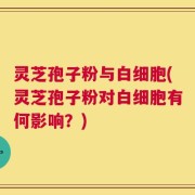 灵芝孢子粉与白细胞(灵芝孢子粉对白细胞有何影响？)