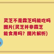 灵芝不是霖芝吗能吃吗图片(灵芝并非霖芝 能食用吗？图片解析)