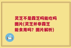灵芝不是霖芝吗能吃吗图片(灵芝并非霖芝 能食用吗？图片解析)