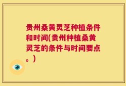 贵州桑黄灵芝种植条件和时间(贵州种植桑黄灵芝的条件与时间要点。)