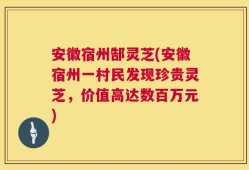 安徽宿州郜灵芝(安徽宿州一村民发现珍贵灵芝，价值高达数百万元)