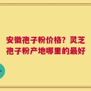 安徽孢子粉价格？灵芝孢子粉产地哪里的最好