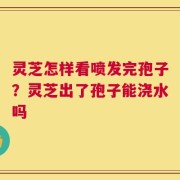 灵芝怎样看喷发完孢子？灵芝出了孢子能浇水吗