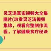 灵芝汤真实视频大全集图片(珍贵灵芝汤视频集锦，观看完整制作流程，了解健康食疗秘诀)