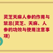 灵芝天麻人参的作用与禁忌(灵芝、天麻、人参的功效与使用注意事项)