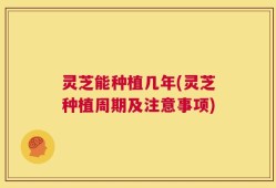 灵芝能种植几年(灵芝种植周期及注意事项)