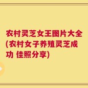 农村灵芝女王图片大全(农村女子养殖灵芝成功 佳照分享)