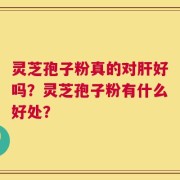 灵芝孢子粉真的对肝好吗？灵芝孢子粉有什么好处？
