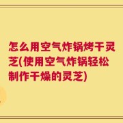 怎么用空气炸锅烤干灵芝(使用空气炸锅轻松制作干燥的灵芝)