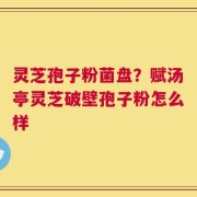 灵芝孢子粉菌盘？赋汤亭灵芝破壁孢子粉怎么样