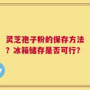 灵芝孢子粉的保存方法？冰箱储存是否可行？