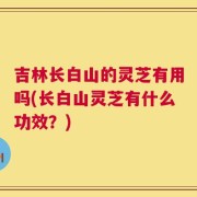 吉林长白山的灵芝有用吗(长白山灵芝有什么功效？)