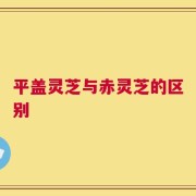 平盖灵芝与赤灵芝的区别