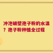 冲泡破壁孢子粉的水温？孢子粉种植全过程