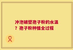 冲泡破壁孢子粉的水温？孢子粉种植全过程