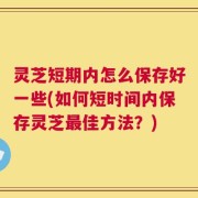 灵芝短期内怎么保存好一些(如何短时间内保存灵芝最佳方法？)