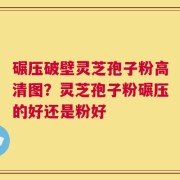 碾压破壁灵芝孢子粉高清图？灵芝孢子粉碾压的好还是粉好