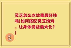 灵芝怎么吃效果最好炖鸡(如何搭配灵芝炖鸡，让身体受益最大化？)