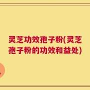 灵芝功效孢子粉(灵芝孢子粉的功效和益处)