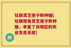 社旗灵芝孢子粉种植(社旗现有灵芝孢子粉种植，丰富了该地区的农业生态系统)
