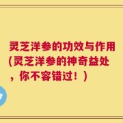灵芝洋参的功效与作用(灵芝洋参的神奇益处，你不容错过！)