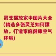 灵芝摆放家中图片大全(精选多张灵芝如何摆放，打造家庭健康空气环境)