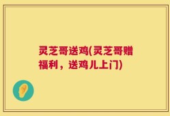 灵芝哥送鸡(灵芝哥赠福利，送鸡儿上门)