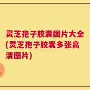 灵芝孢子胶囊图片大全(灵芝孢子胶囊多张高清图片)