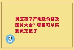 灵芝孢子产地及价格及图片大全？哪里可以买到灵芝孢子