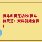 枫斗和灵芝功效(枫斗和灵芝：双料健康宝藏)