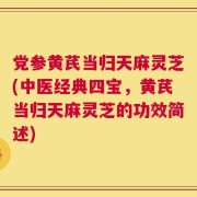 党参黄芪当归天麻灵芝(中医经典四宝，黄芪当归天麻灵芝的功效简述)