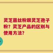 灵芝菌丝粉跟灵芝孢子粉？灵芝产品的区别与使用方法？