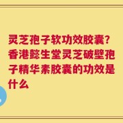 灵芝孢子软功效胶囊？香港懿生堂灵芝破壁孢子精华素胶囊的功效是什么