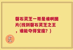 磐石灵芝一哥是谁啊图片(找到磐石灵芝之王，谁能夺得宝座？)