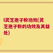 l灵芝孢子粉功效(灵芝孢子粉的功效及其益处)