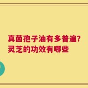 真菌孢子油有多普遍？灵芝的功效有哪些