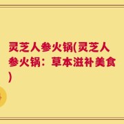 灵芝人参火锅(灵芝人参火锅：草本滋补美食)