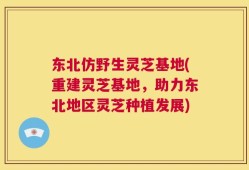 东北仿野生灵芝基地(重建灵芝基地，助力东北地区灵芝种植发展)