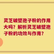 灵芝破壁孢子粉的作用大吗？解析灵芝破壁孢子粉的功效与作用？