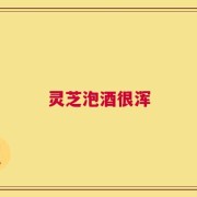 灵芝泡酒很浑