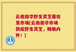 云南南华野生灵芝菌批发市场(云南南华市场供应野生灵芝，畅销内外！)