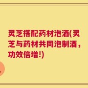 灵芝搭配药材泡酒(灵芝与药材共同泡制酒，功效倍增!)