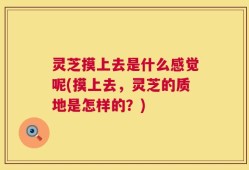 灵芝摸上去是什么感觉呢(摸上去，灵芝的质地是怎样的？)