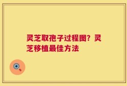 灵芝取孢子过程图？灵芝移植最佳方法