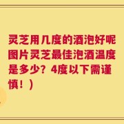 灵芝用几度的酒泡好呢图片灵芝最佳泡酒温度是多少？4度以下需谨慎！)