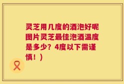 灵芝用几度的酒泡好呢图片灵芝最佳泡酒温度是多少？4度以下需谨慎！)