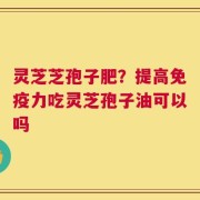 灵芝芝孢子肥？提高免疫力吃灵芝孢子油可以吗